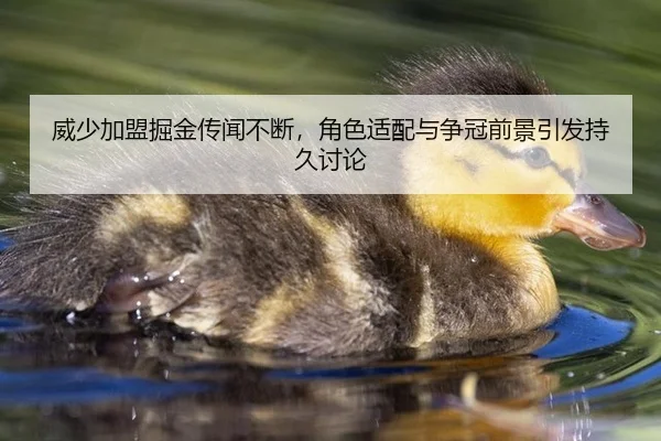 威少加盟掘金传闻不断，角色适配与争冠前景引发持久讨论